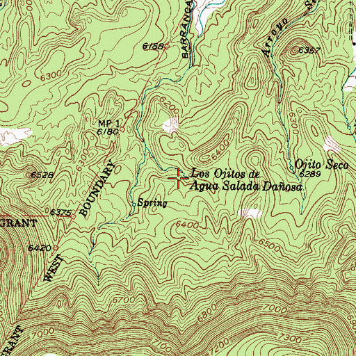 Topographic Map of Los Ojitos de Agua Salada Daosa, NM