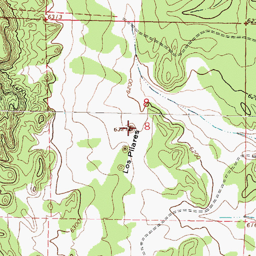 Topographic Map of Los Pilares, NM