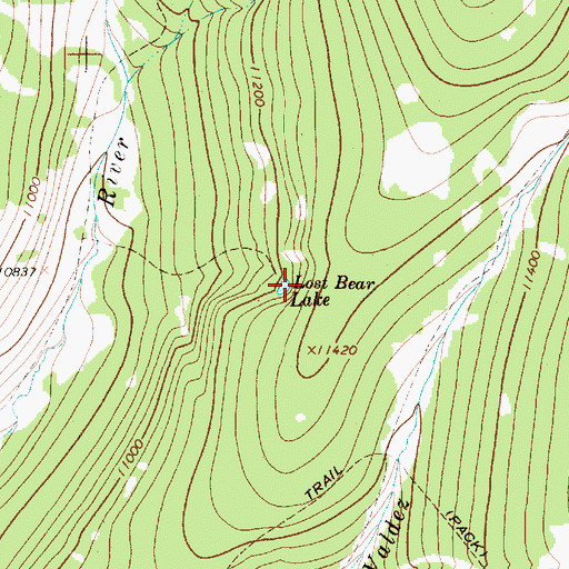 Topographic Map of Lost Bear Lake, NM
