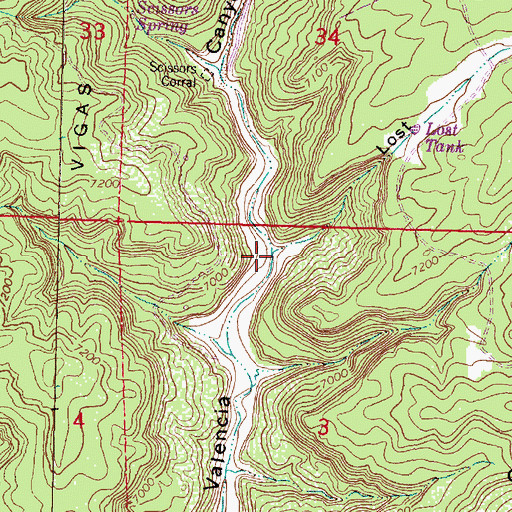 Topographic Map of Lost Canyon, NM