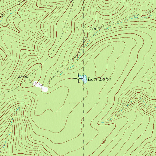 Topographic Map of Lost Lake, NM