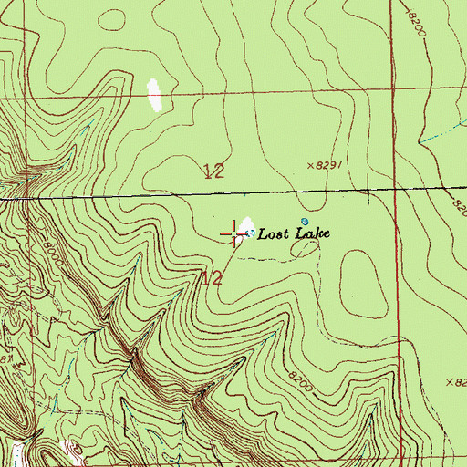 Topographic Map of Lost Lake, NM