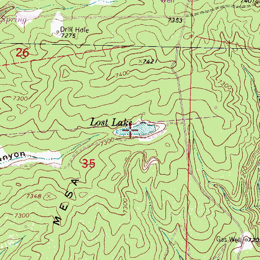 Topographic Map of Lost Lake, NM
