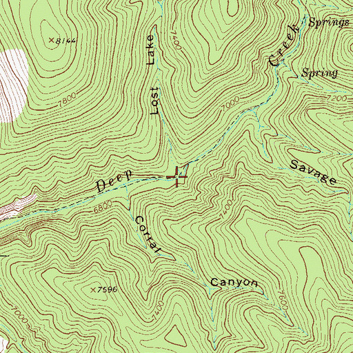Topographic Map of Lost Lake Canyon, NM
