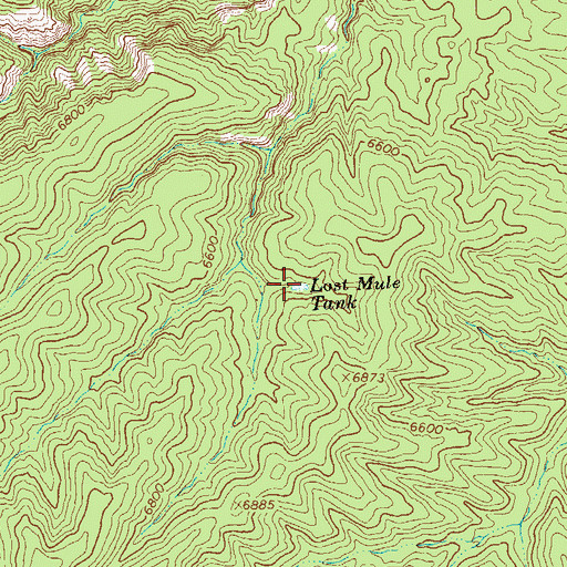 Topographic Map of Lost Mule Tank, NM