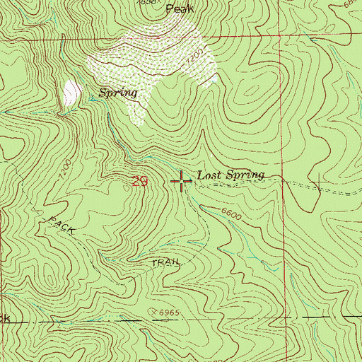 Topographic Map of Lost Spring, NM