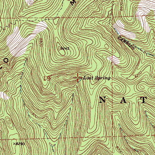 Topographic Map of Lost Spring, NM