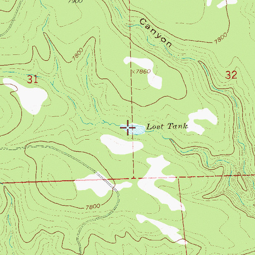 Topographic Map of Lost Tank, NM