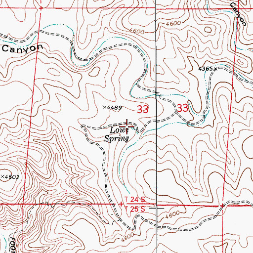 Topographic Map of Lowe Spring, NM