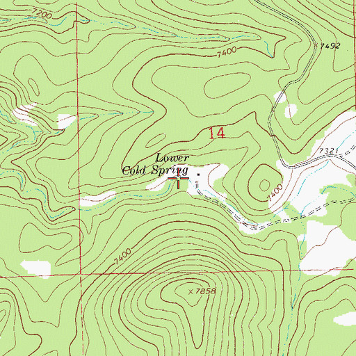 Topographic Map of Lower Cold Spring, NM