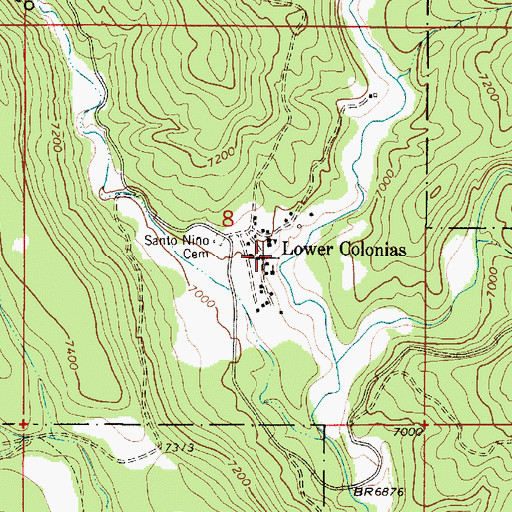 Topographic Map of Lower Colonias, NM