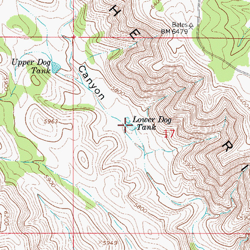 Topographic Map of Lower Dog Tank, NM
