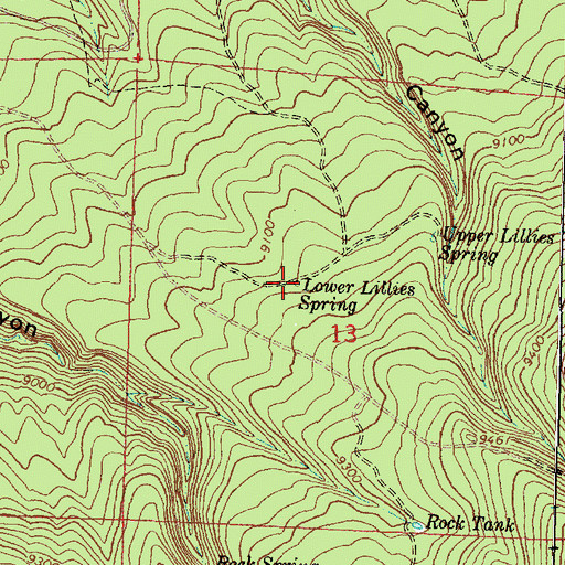 Topographic Map of Lower Lillies Spring, NM