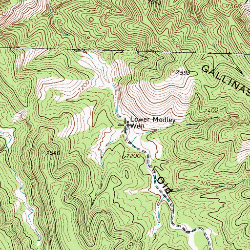 Topographic Map of Lower Medley Well, NM