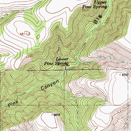Topographic Map of Lower Pine Spring, NM