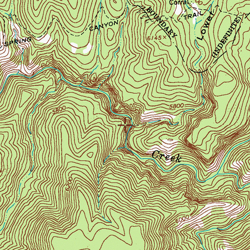 Topographic Map of Lower Spring Canyon, NM