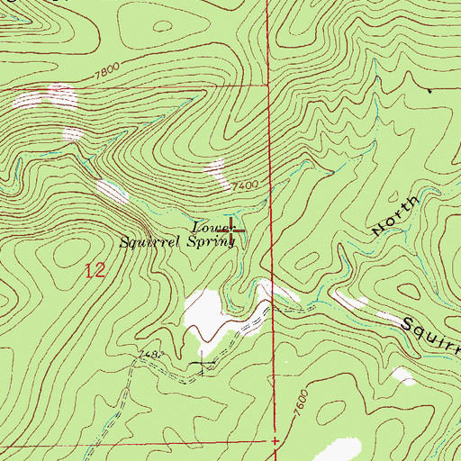 Topographic Map of Lower Squirrel Spring, NM