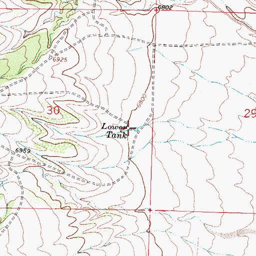 Topographic Map of Lower Tank, NM