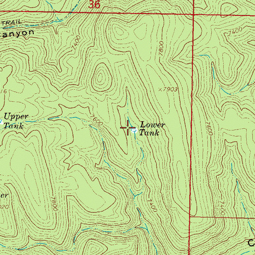 Topographic Map of Lower Tank, NM