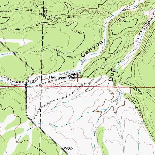 Topographic Map of Lower Thompson Well, NM