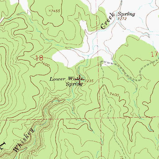 Topographic Map of Lower Water Spring, NM