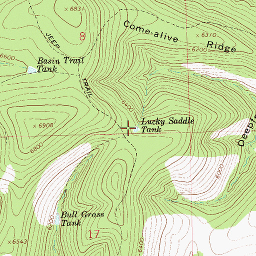 Topographic Map of Lucky Saddle Tank, NM