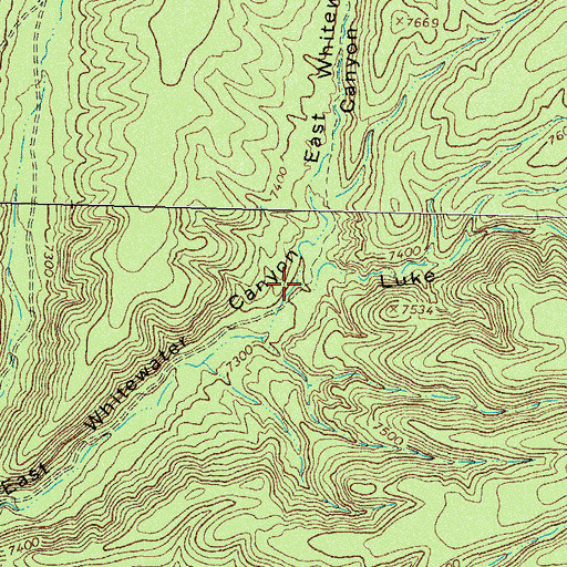 Topographic Map of Luke Canyon, NM