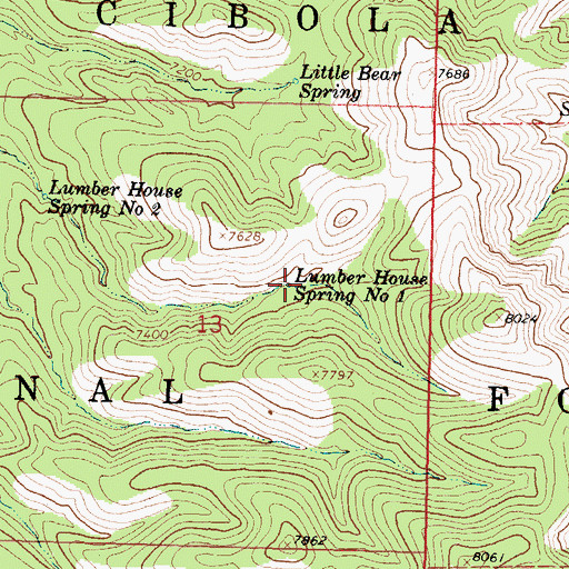 Topographic Map of Lumber House Spring Number One, NM