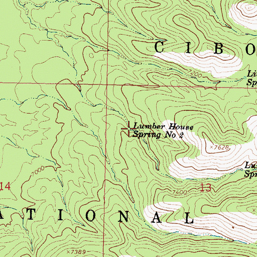 Topographic Map of Lumber House Spring Number Two, NM