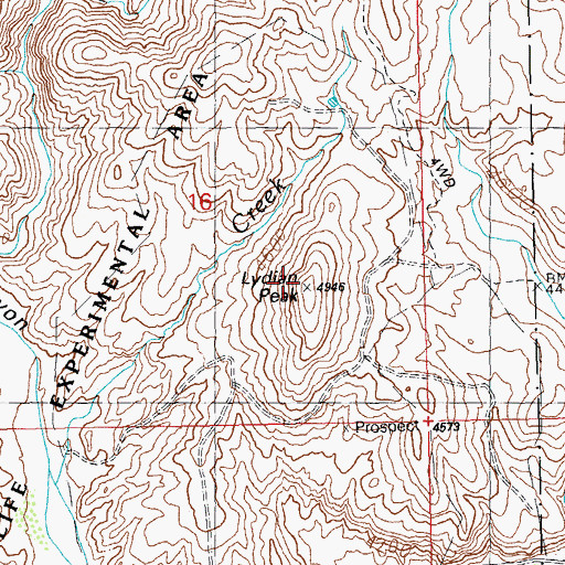 Topographic Map of Lydian Peak, NM