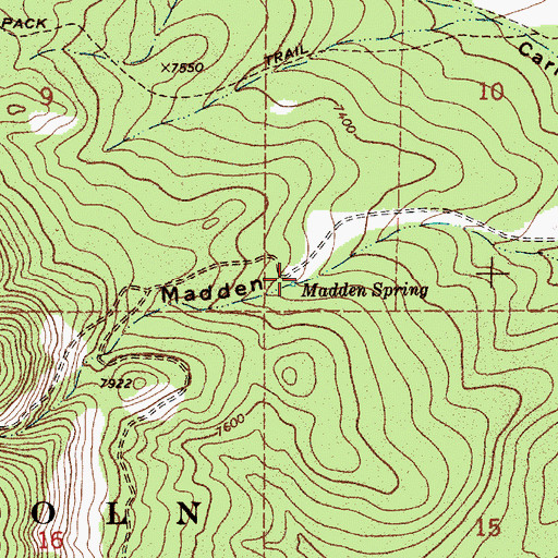 Topographic Map of Madden Spring, NM