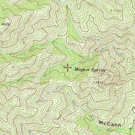 Topographic Map of Magnum Spring, NM