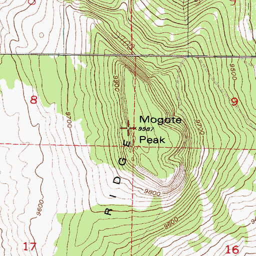 Topographic Map of Mogote Peak, NM