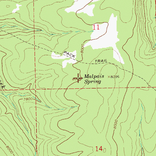 Topographic Map of Malpais Spring, NM