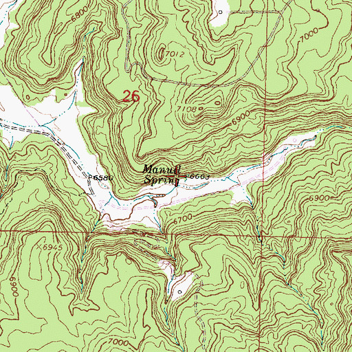 Topographic Map of Manuel Spring, NM