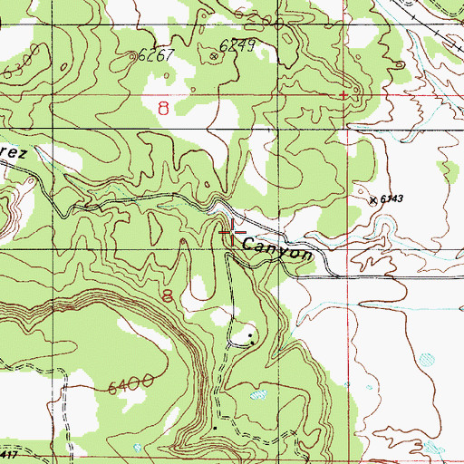 Topographic Map of Manzanarez Canyon, NM