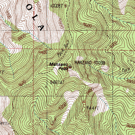 Topographic Map of Manzano Peak, NM