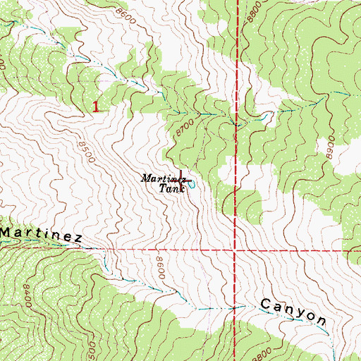 Topographic Map of Martinez Tank, NM