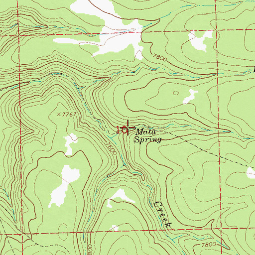 Topographic Map of Mata Spring, NM