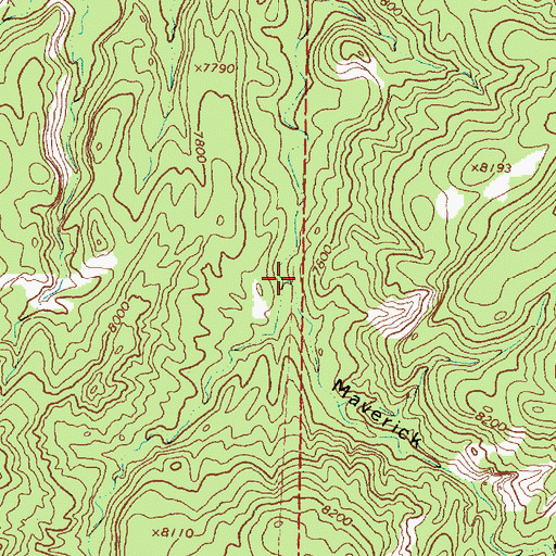Topographic Map of Maverick Canyon, NM