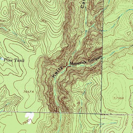Topographic Map of Maverick Canyon, NM
