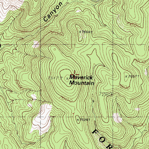 Topographic Map of Maverick Mountain, NM