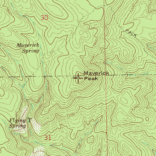 Topographic Map of Maverick Peak, NM