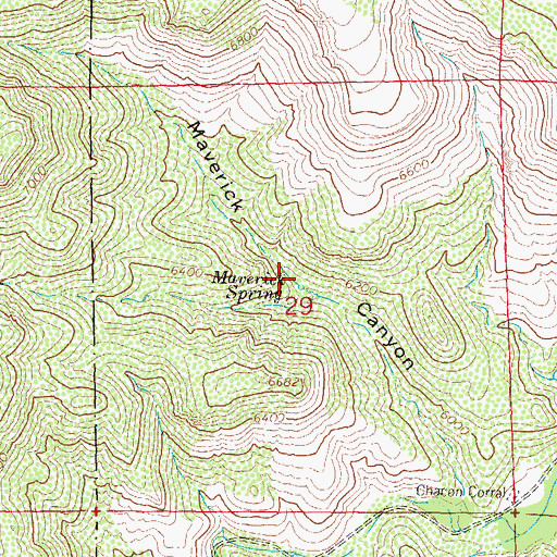 Topographic Map of Maverick Spring, NM