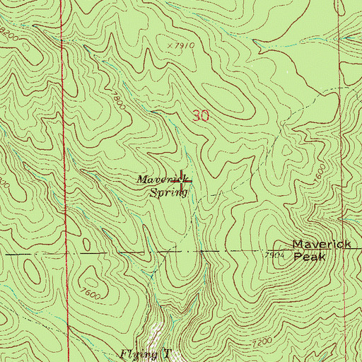 Topographic Map of Maverick Spring, NM