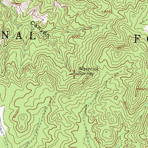 Topographic Map of Maverick Spring, NM