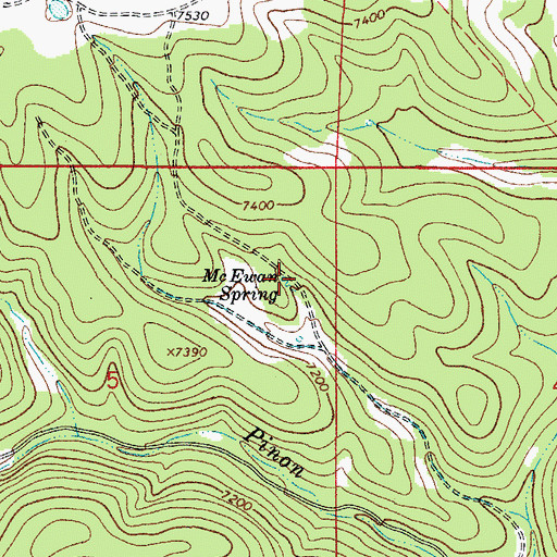 Topographic Map of McEwan Spring, NM