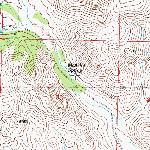 Topographic Map of McAsh Spring, NM