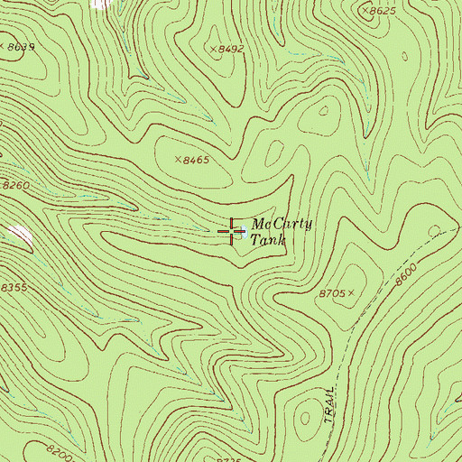 Topographic Map of McCarty Tank, NM