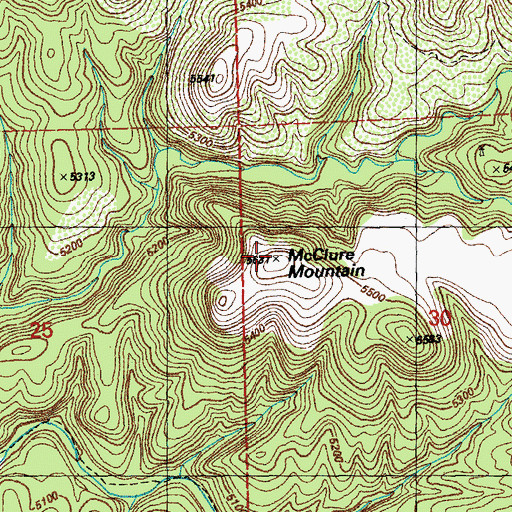 Topographic Map of McClure Mountain, NM